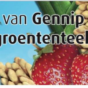 Eindhovens BESTE asperges - Van Gennip Groententeelt